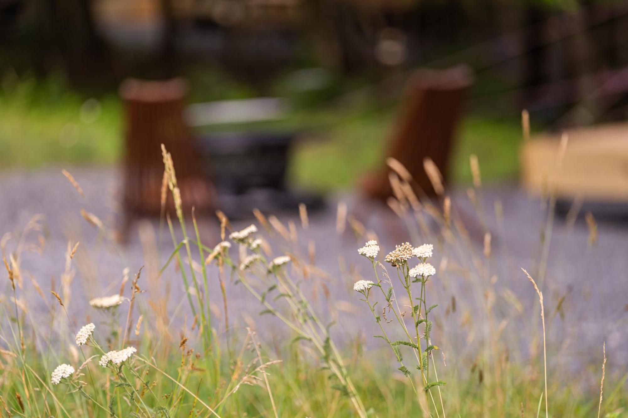 Firefly Ridge Luxury Retreat Hotel Great Cacapon Buitenkant foto